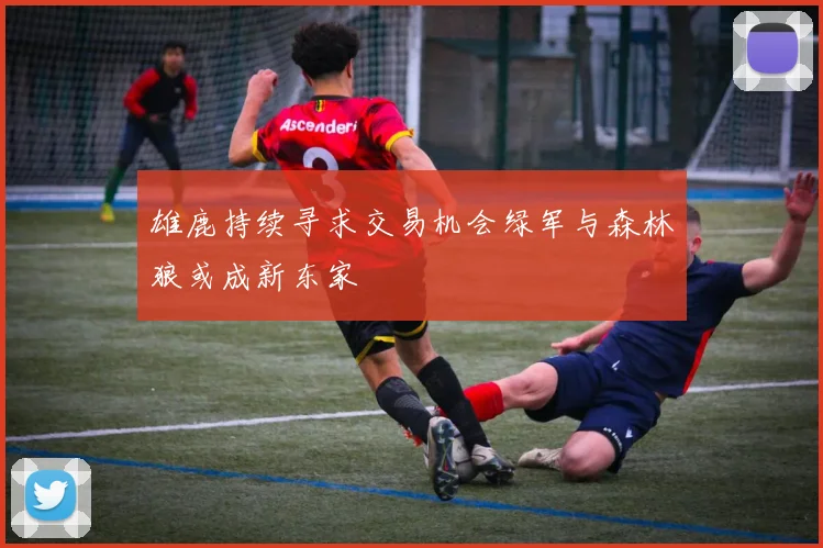 雄鹿持续寻求交易机会绿军与森林狼或成新东家